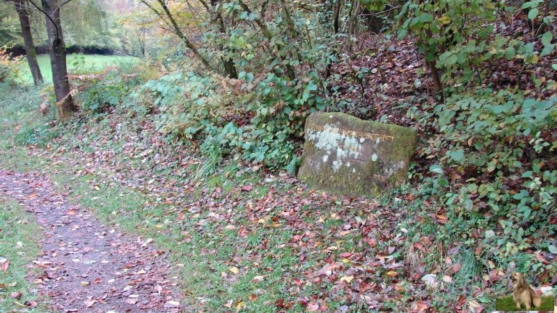 Ritterstein Nr. 218-4 Ruine Karolingisches Gehöft, 750-850, jetzt im Weiher.JPG - Ritterstein Nr.218 Ruine Karolingisches Gehöft, 750-850, jetzt im Weiher